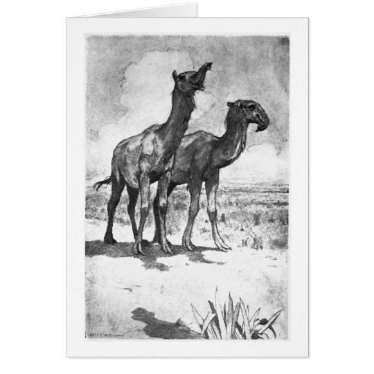 Alice B. Woodward: Macrauchenia Kunstkarte Karte