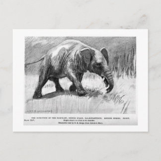 Alice B. Woodward: Palaeomastodon Art Postkarte