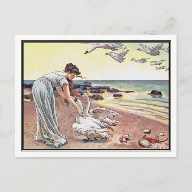 Alice Havers - die weißen Schwäne Postkarte (Vorderseite)