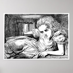 Alice im weißen Haus des Kaninchens Poster