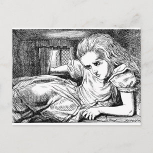 Alice im Weißen Kaninchen Postkarte