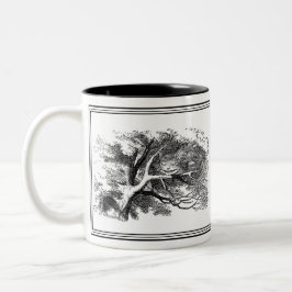 Alice im Wunderland John Tenniel Illustration Tass Zweifarbige Tasse