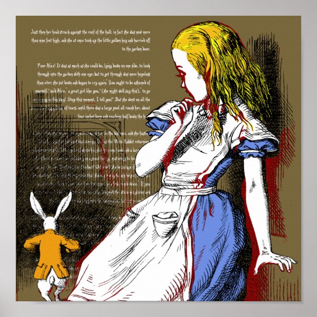 Alice im Wunderland Poster (Vorne)