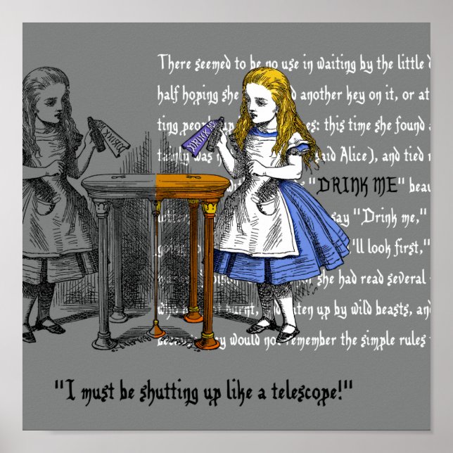 Alice im Wunderland Poster (Vorne)