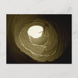 Alice in Wonderland Rabbit Hole Postcard Postkarte