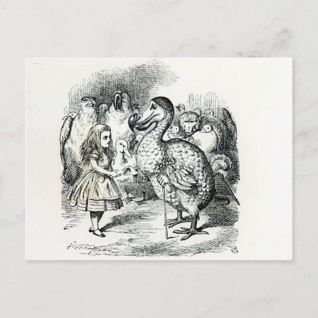 Alice trifft den Dodo Postkarte (Vorderseite)