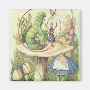 Alice trifft die Raupe Magnet