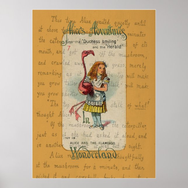 Alice und der Flamingo Poster (Vorne)