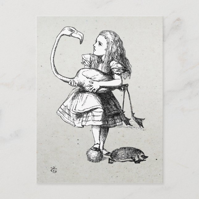 Alice und der Flamingo Postkarte (Vorderseite)