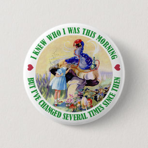 ALICE UND RAUPE BUTTON