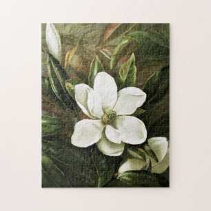 Alicia H. Laird: Magnolie Grandflora
