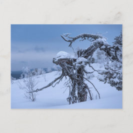 Alien aus gefrorenem Holz Postkarte