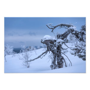 Alien aus Holz im Winter Fotodruck