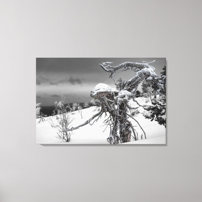 Alien aus Holz im Winter Leinwanddruck (Vorderseite)