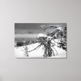 Alien aus Holz im Winter Leinwanddruck