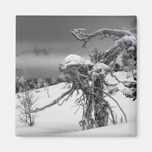 Alien-Baummagnet Magnet