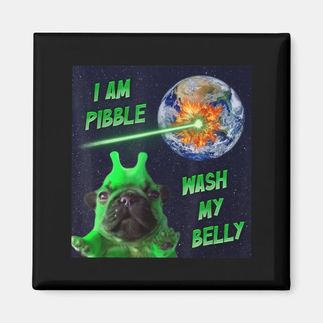 Alien Bble Funny Brainrot Dog Meme Space I Am Bble Magnet (Vorne)