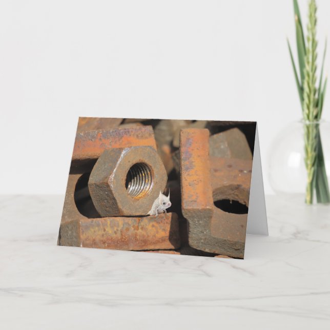 Alien Bolt-Hole Karte (Vorderseite)