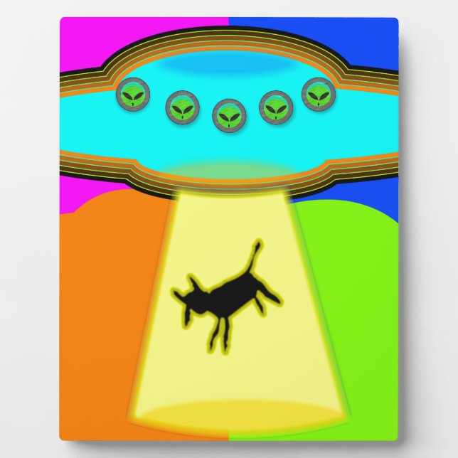 Alien Entführung Fotoplatte (Vorderseite)
