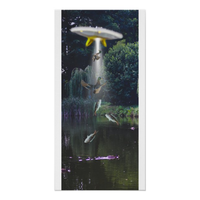 Alien Entführung Poster, Fisch, Enten. Poster (Vorderseite)