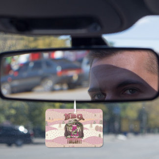 Alien GRILLEN Cow Abduction Joke Autolufterfrischer