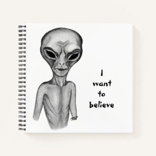 Alien gris, je veux croire Carnet