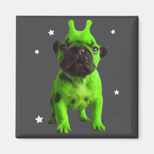 Alien-Hund-Meme Retro Dummer Hund Vintage Weltraum Magnet