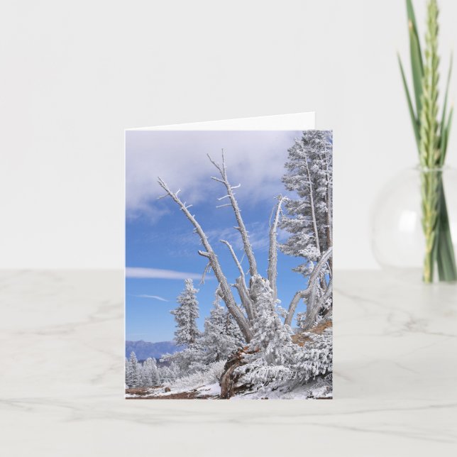 Alien Lifeform Karte (Vorderseite)