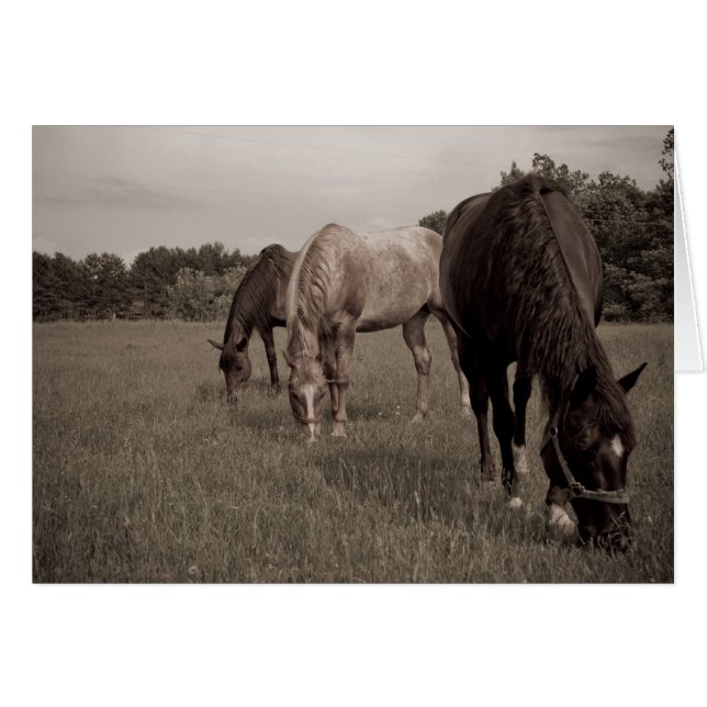 Alignement synchronisé (Devant horizontal)