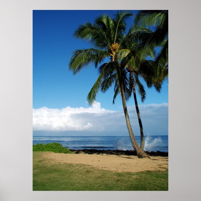 Ali'i Beach 19 Poster (Vorne)
