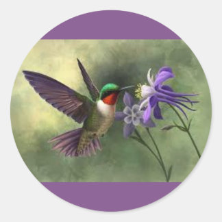 Alimentation de colibris sur un autocollant à fleu