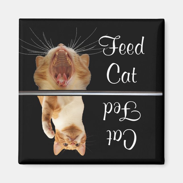 Alimentation Fed Cat Magnet Fun Cute (Devant)