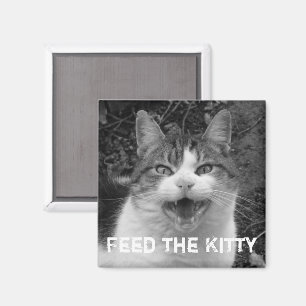 Alimenter le Kitty Crabby Cat Magnet