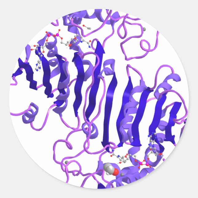 Alkoholdehydrogenase Runder Aufkleber (Vorderseite)