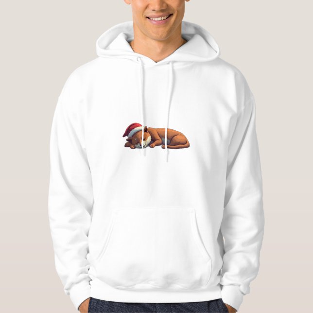 All I want for christmas is a long nap Hoodie (Vorderseite)
