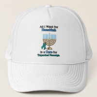 All I Want for Hanukkah...TN