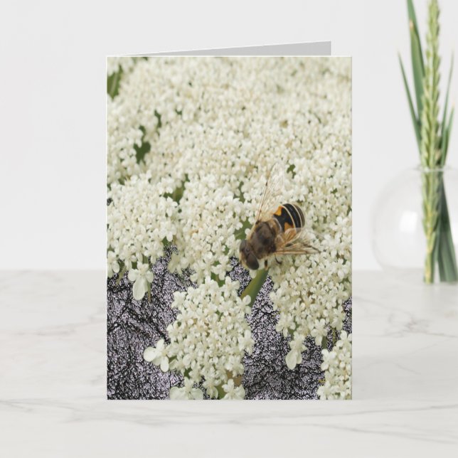 All Ocassion Queen Annes Lace Black Leather Card Dankeskarte (Vorderseite)
