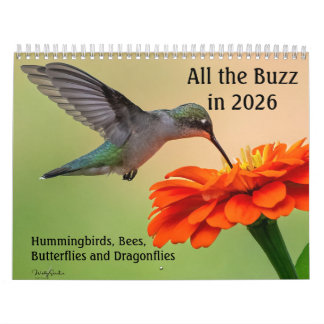 All the Buzz 2026 Kalender