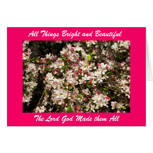 All Things Bright et Beautifu... (Devant horizontal)
