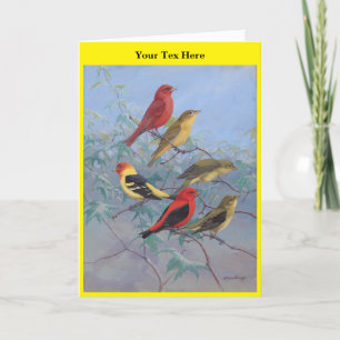 Allan Brooks Birds no3 Dankeskarte