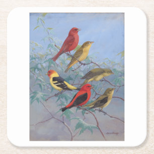 Allan Brooks Birds no3 Rechteckiger Pappuntersetzer