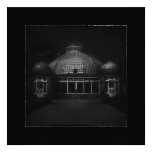 Allan Gardens Conservatory Palm House Nr. 7 Border Fotodruck