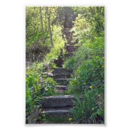 Allan Park, Sowerby Bridge, Steintreppe Fotodruck