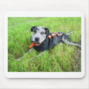 alldogscatch mousepad