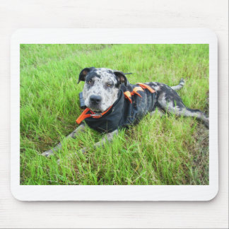 alldogscatch mousepad