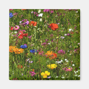 alle Arten von schönen Blume Magnet