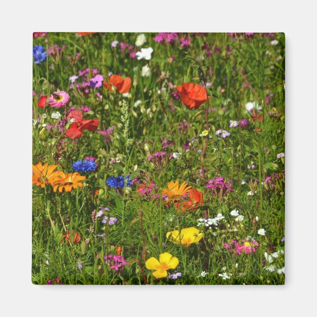 alle Arten von schönen Blume Magnet (Vorne)
