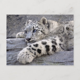 Alle ausgespielte Postkarte