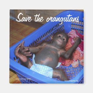 Alle Baby-Bedarfs-Liebe Magnet