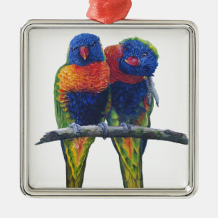 Alle Farben des Regenbogens Lorikeets Silbernes Ornament